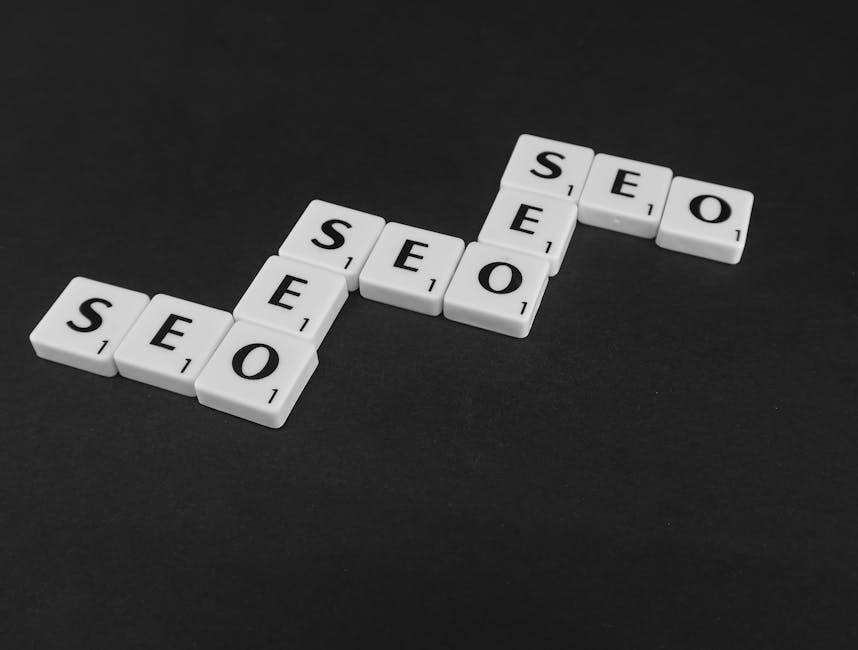 local seo link building company