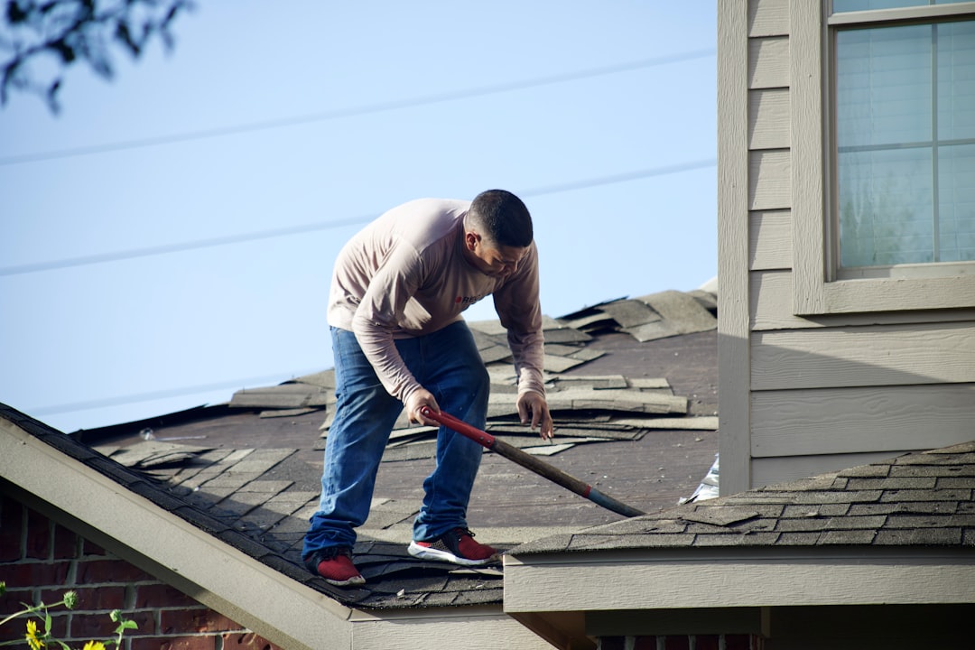 shingle roof repair